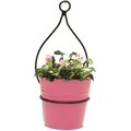 Next2Nature 0337E S-2 HPK 6.5 in. Enameled Galvanized Planter with Iron Hanger, Hot Pink NE2588640
